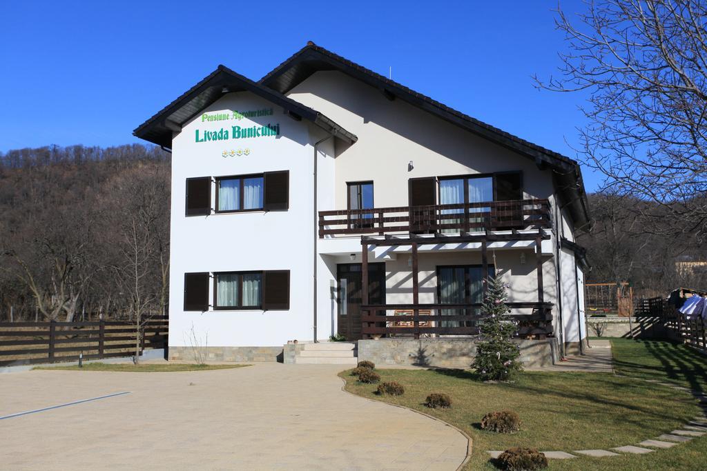Pensiunea Livada Bunicului Stanesti  Екстер'єр фото